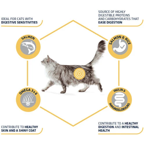 Affinity Advance Adult Salmon Sensitive - Katze â Bild 5