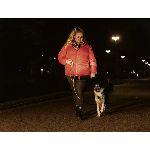 Beeztees Safety Gear Parinca Premium Halsband â Bild 8