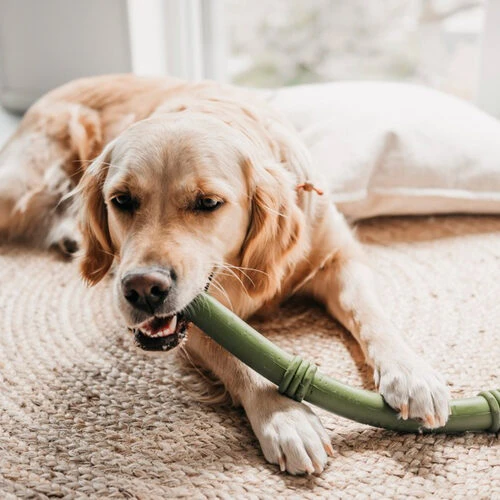 Beeztees Sumo Fit Stick â Bild 2