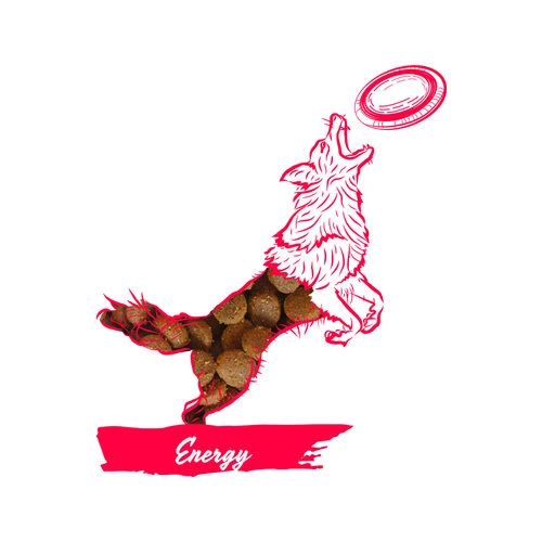 Calibra Dog Expert Nutrition Energy – Bild 3