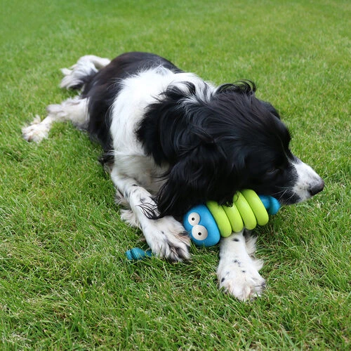 Coockoo Larry â Bild 3