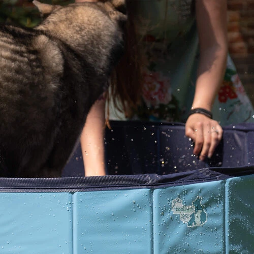 CoolPets Hundepool â Bild 4