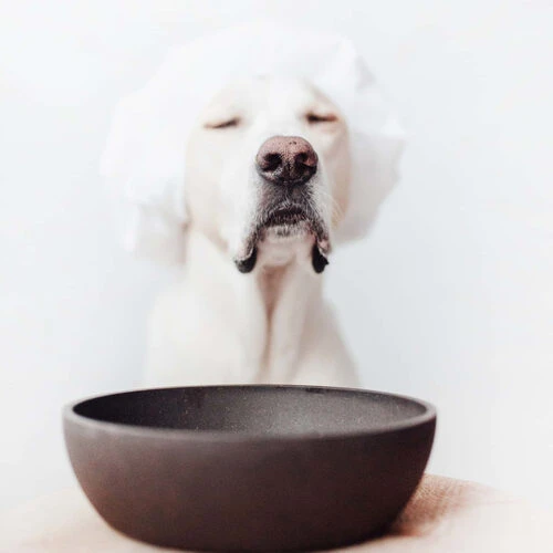 District 70 Bamboo Hundenapf â Bild 2