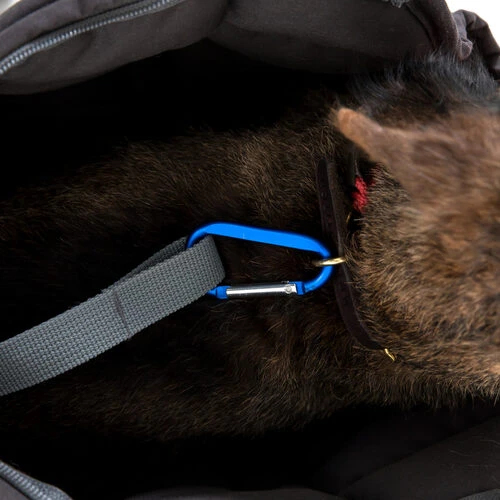 Doctor Bark Hundetragetasche – Bild 5