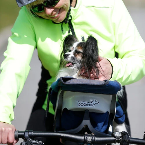 Dogrider Dog Seat + Korb - Grau – Bild 3