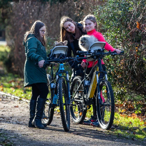 Dogrider Dog Seat + Korb - Grau – Bild 2