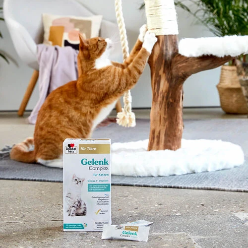 Doppelherz Gelenk Complex FĂŒr Katzen â Bild 6