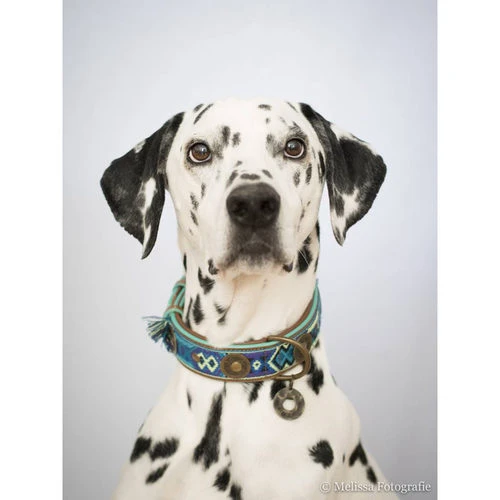 DWAM Halsband Boho Juan â Bild 3