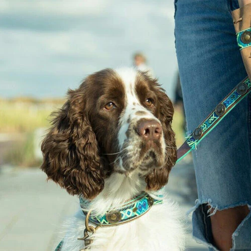 DWAM Halsband Boho Juan â Bild 4