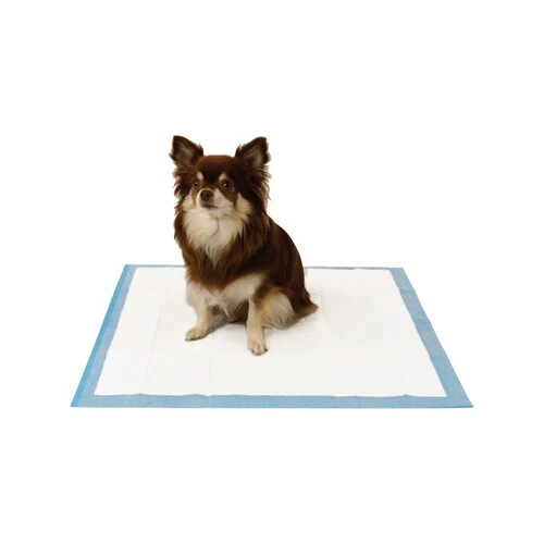 Easypets Trainingpads â Bild 4