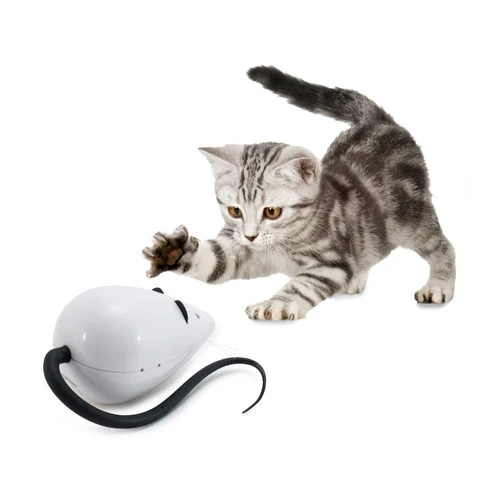 FroliCat RoloRat â Bild 5