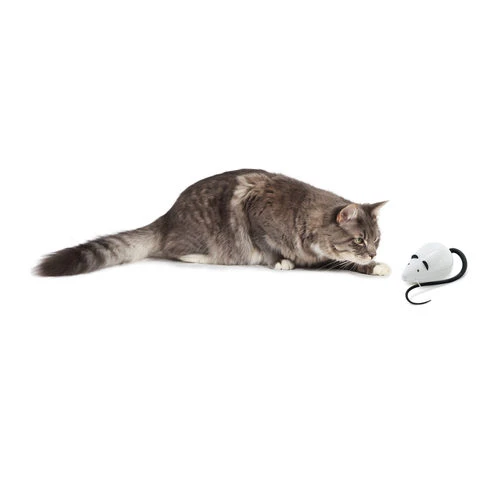 FroliCat RoloRat â Bild 3