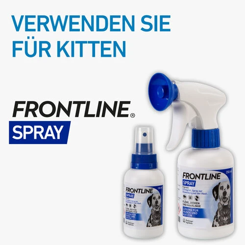 Frontline Spray Gegen Zecken Und Flöhe Für Hunde Und Katzen – Bild 5