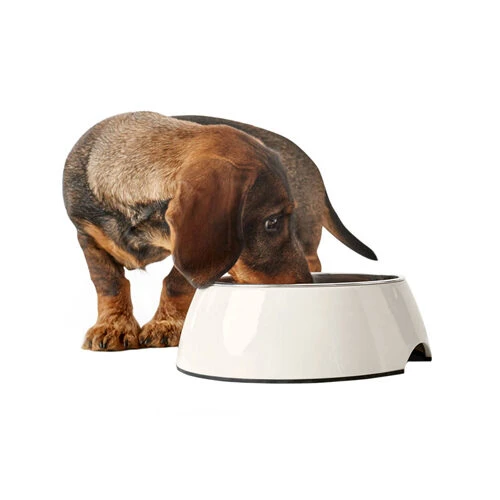 Hunter Melamin Napf - Weiß – Bild 4