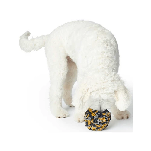 Hunter Schnüffelball Eiby – Bild 2