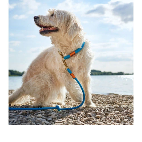 Hunter Verstellbare Führleine Oss – Bild 6