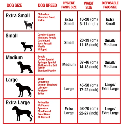 Mikki Läufigkeitshose – Bild 3