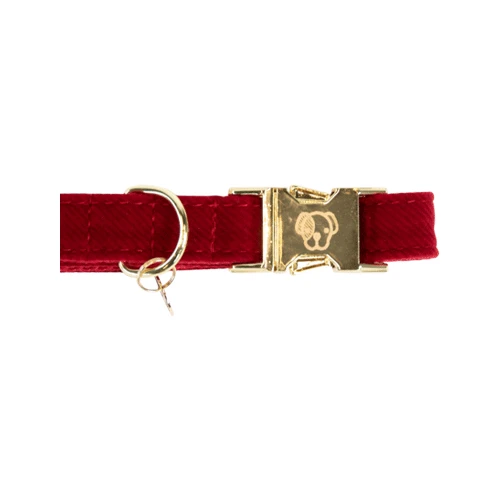 Kentucky Dogwear Corduroy Hundehalsband â Bild 6