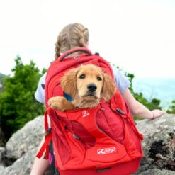 Kurgo G-Train K9 Pack