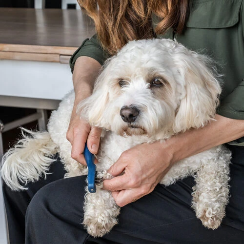 Mikki Doodle De-Matter â Bild 4