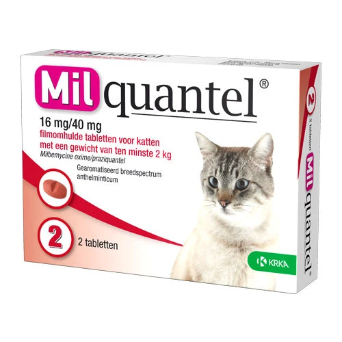 Milquantel Katze â Bild 4