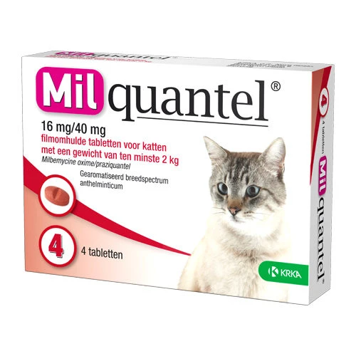 Milquantel Katze â Bild 5