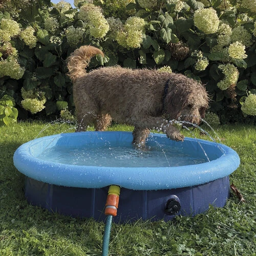 Nobby Hundepool Mit Sprinkler – Bild 2