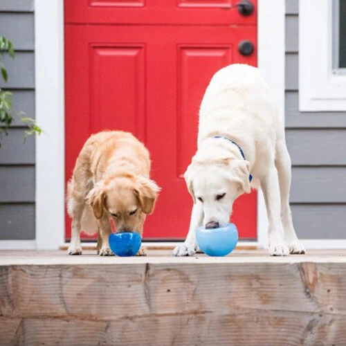 Planet Dog Orbee-Tuff Lilâ Snoop Toy â Bild 10