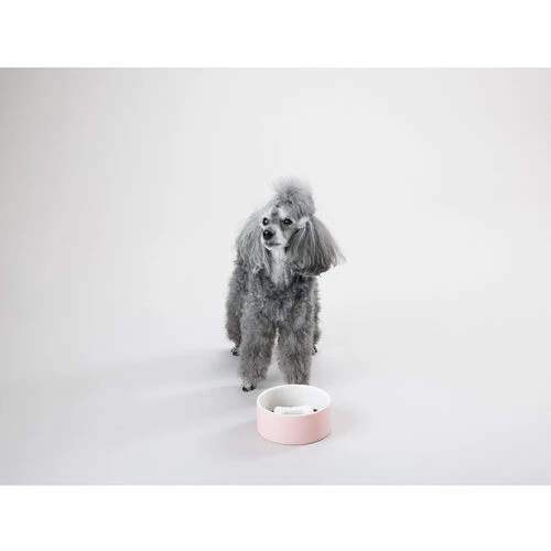 PAIKKA Slow Feed Bowl â Bild 3