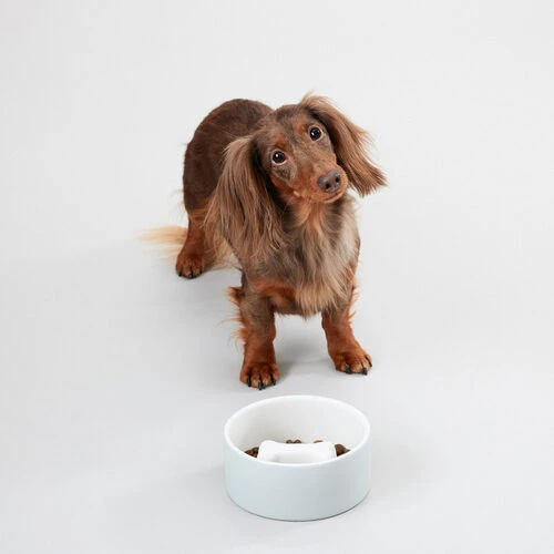 PAIKKA Slow Feed Bowl â Bild 7