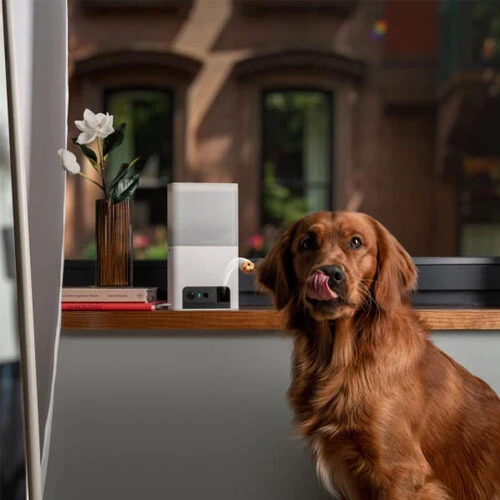 Petcube Bites 2 Lite â Bild 2