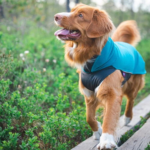 Pomppa Jumppa â Bild 7