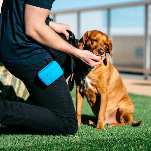 Popware Pooch Pouch Treatbag â Bild 4