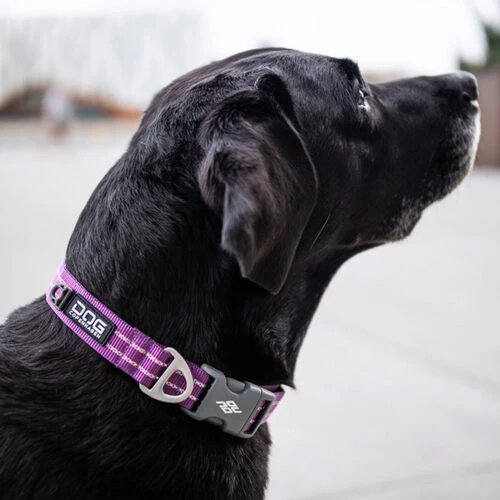 DOG Copenhagen Urban Style Halsband â Bild 10