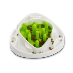 All For Paws AFP Interactive Food Maze