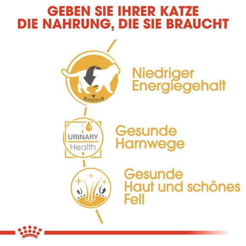 Royal Canin British Shorthair Adult Wet - Katzenfutter â Bild 2