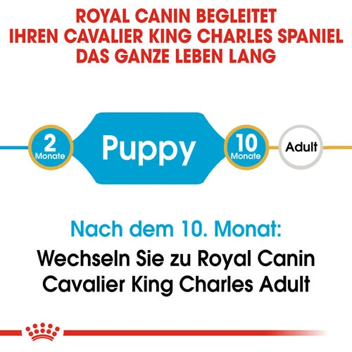 Royal Canin Cavalier King Charles Puppy - Hundefutter â Bild 6