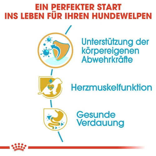 Royal Canin Cavalier King Charles Puppy - Hundefutter â Bild 3