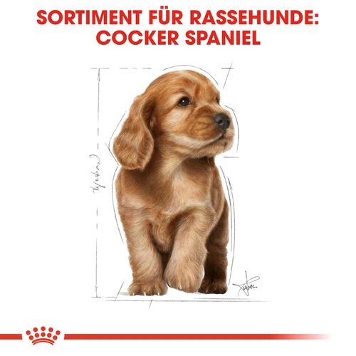 Royal Canin Cocker Puppy - Hundefutter â Bild 4