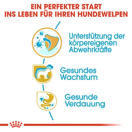 Royal Canin Jack Russell Terrier Puppy - Hundefutter â Bild 2