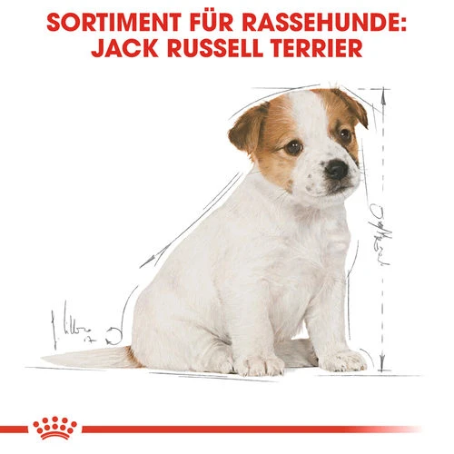 Royal Canin Jack Russell Terrier Puppy - Hundefutter â Bild 4