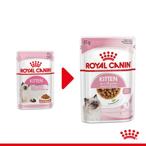 Royal Canin Kitten In Gravy - Katzenfutter