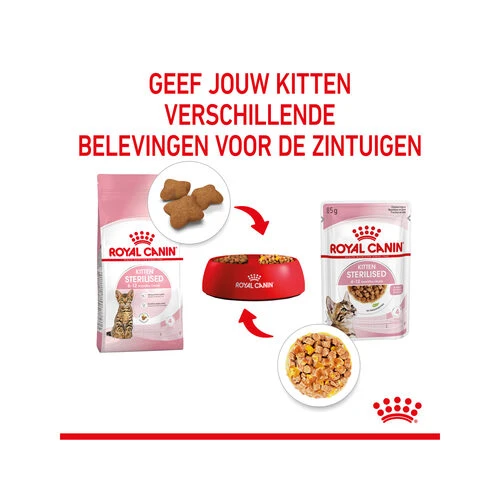 Royal Canin Kitten Sterilised Gelee - Beutel â Bild 5