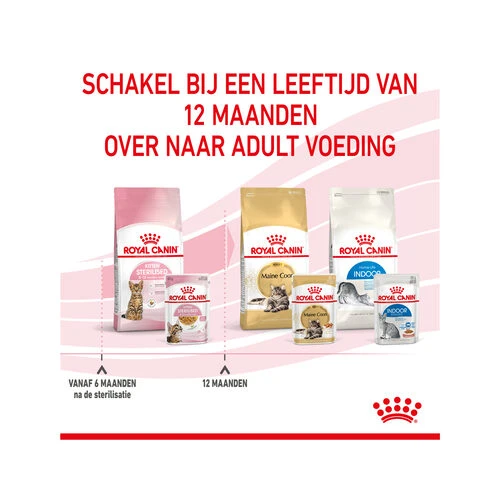 Royal Canin Kitten Sterilised Gelee - Beutel â Bild 8