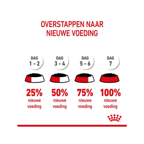 Royal Canin Kitten Sterilised Gelee - Beutel â Bild 9