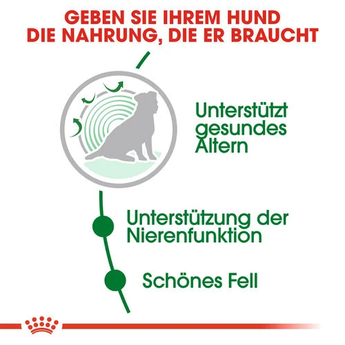 Royal Canin Mini Ageing 12+ - Hundefutter â Bild 3