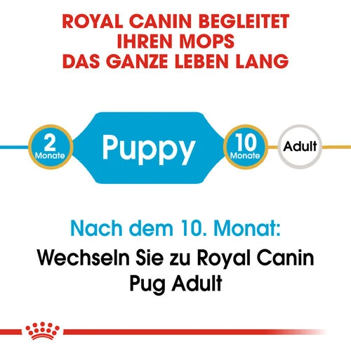 Royal Canin Pug Puppy - Hundefutter â Bild 5