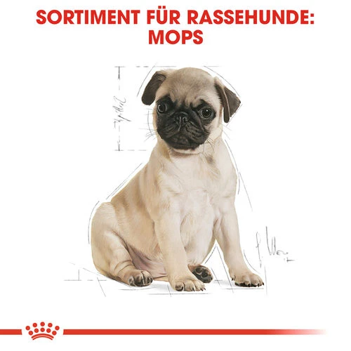 Royal Canin Pug Puppy - Hundefutter â Bild 4