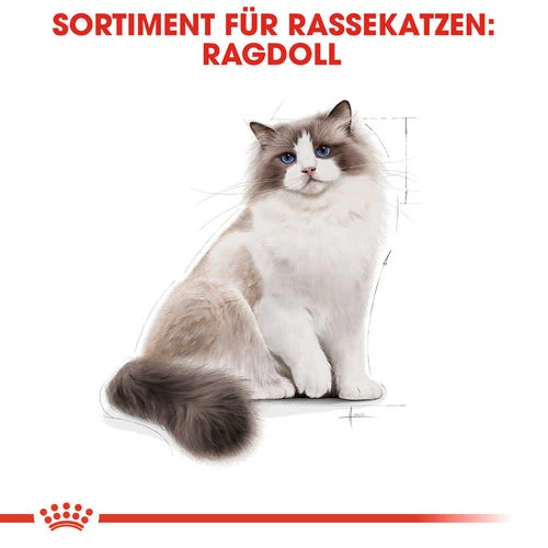 Royal Canin Ragdoll Adult - Katzenfutter â Bild 4