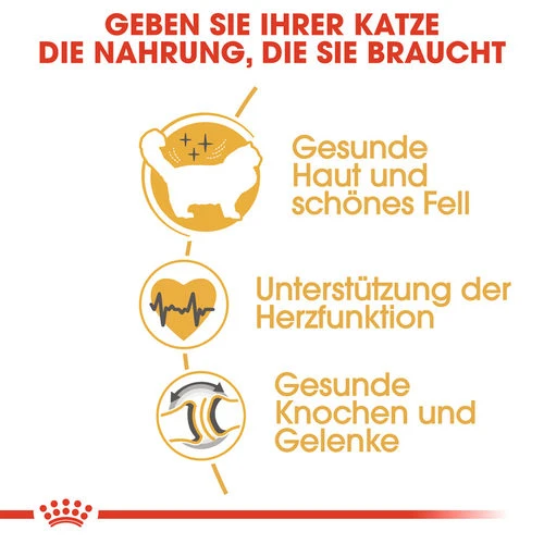 Royal Canin Ragdoll Adult - Katzenfutter â Bild 2